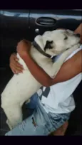 Pirata
