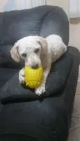 Bella
