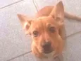 Jolie