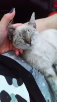Mia