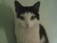 Bebezinho