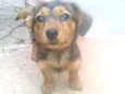  Laila e Bob