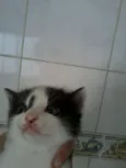 Nao definido