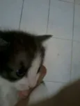 Nao definido