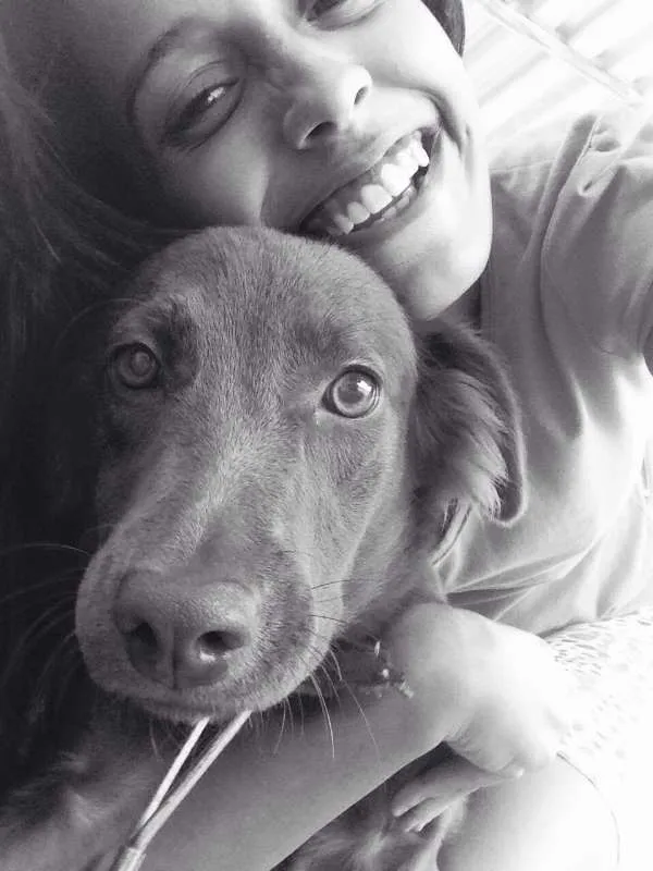 Cachorro ra a Vira-lata com labrador idade 7 a 11 meses nome Cacau