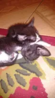 Thor e Mel