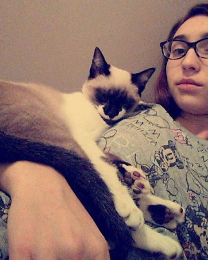 Gato ra a Srd idade 2 a 6 meses nome Sem nome