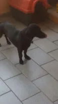 Oo