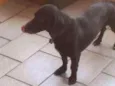 Oo