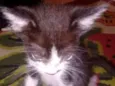 Thor e Mel