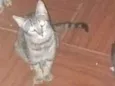 nina...