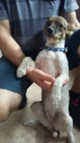 Frida