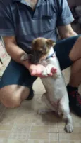 Frida