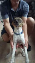 Frida