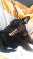 preta