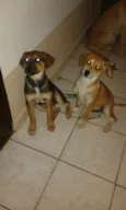 Maya e Mike