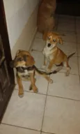 Maya e Mike