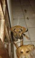 Maya e Mike