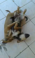 Maya e Mike