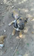 Maya e Mike