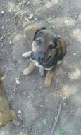 Maya e Mike