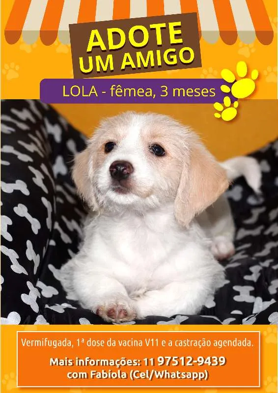 Cachorro ra a Vira lata idade 2 a 6 meses nome Bart, Fred e Lola