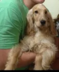 Ralf