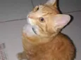 Lucky