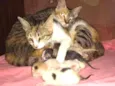 Toquita mia e zuzu