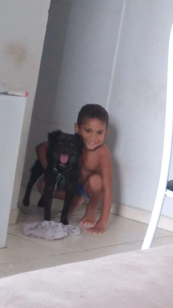 Cachorro raça  idade  nome Lula
