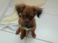 Penélope