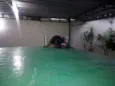 Pretinha