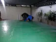 Pretinha