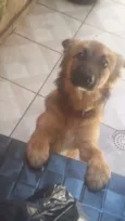 Zayra