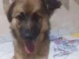 Zayra
