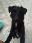 Lili