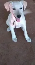 Lucky