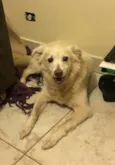 KIKO