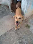 Mel