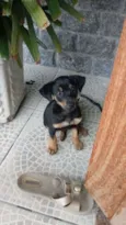 Indefinido