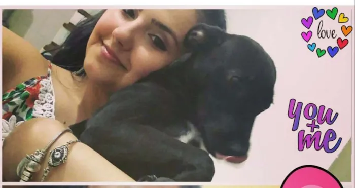 Cachorro ra a SRD idade 1 ano nome Laryssa