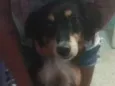 Ralf