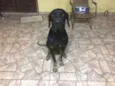 ZEUS
