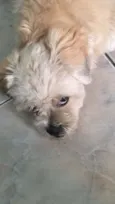 Wally