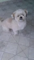 Wally