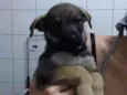 Sem nome