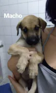 Sem nome