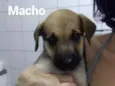 Sem nome
