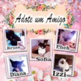 4 Gatinhos