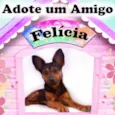 Felícia